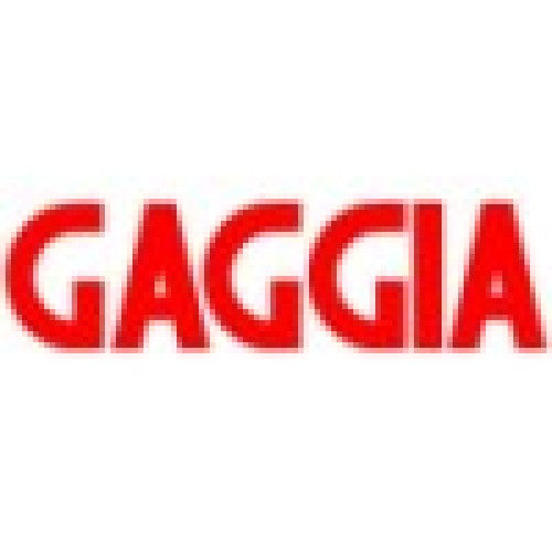 Gaggia Θερμοστάτης καφέ 1070C DM1168