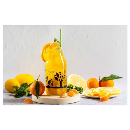 Ήδιστον Μανταρινάδα με Εσπεριδοειδή χωρίς ζάχαρη 750ml